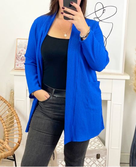 GROOT FORMAAT 2-POCKET VEST 2108 ROYAL BLUE